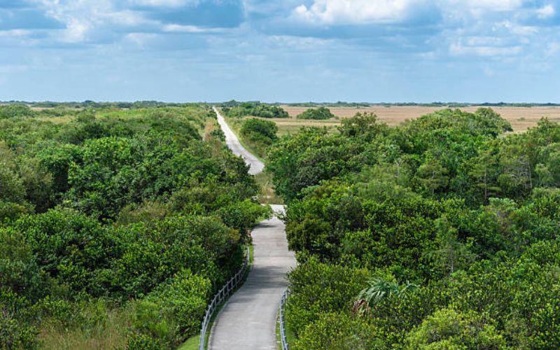 Loop Road Everglades National Park