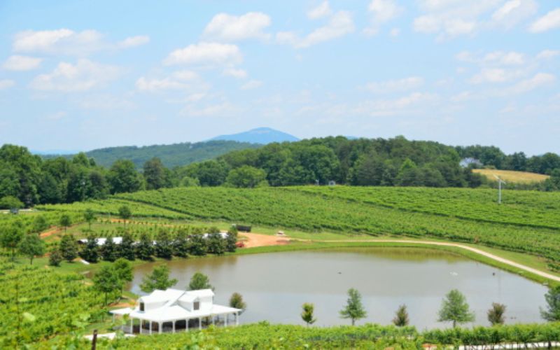 North Georgia Wine Country