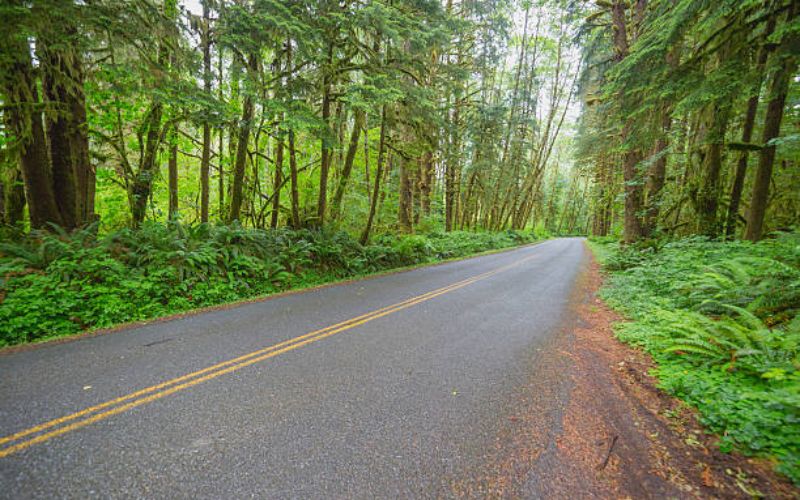 Olympic Peninsula Scenic Byway