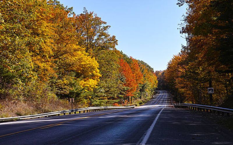 Pennsylvania Wilds Scenic Byway