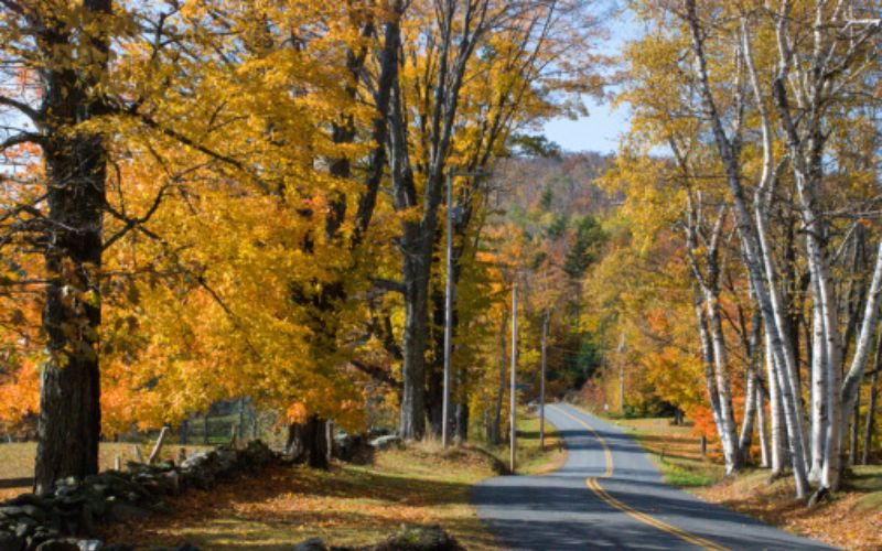 Route 4 Scenic Byway