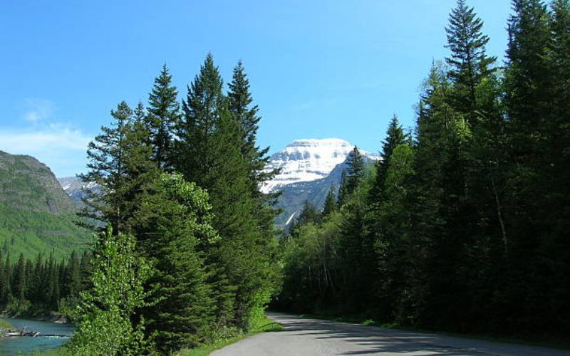 Sun Road, Glacier National Park