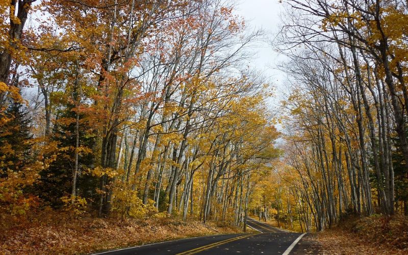 The Hoosier National Forest Scenic Byway