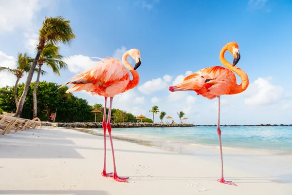 Is Aruba Safe To Visit