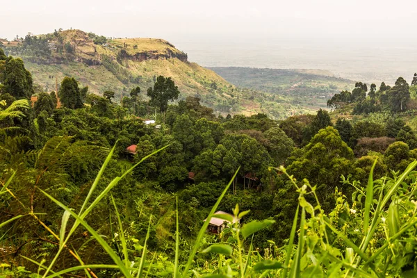 Things To Consider When Visiting Uganda