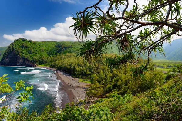 Things To Consider When Visiting The Big Island