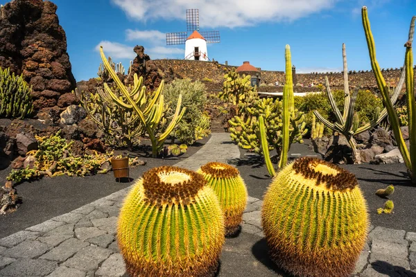 Things To Consider When Visiting The Canary Islands